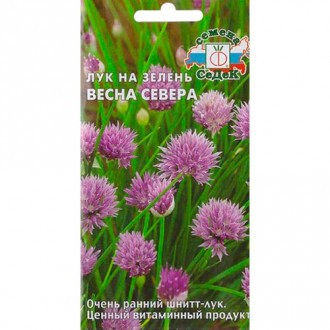 Лук шнитт Весна Севера цв.п 0,5гр СеДек