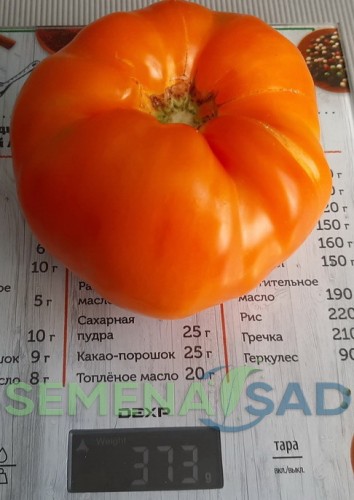 Томат Жёлтый Мрамор цв.п 10шт Медведев