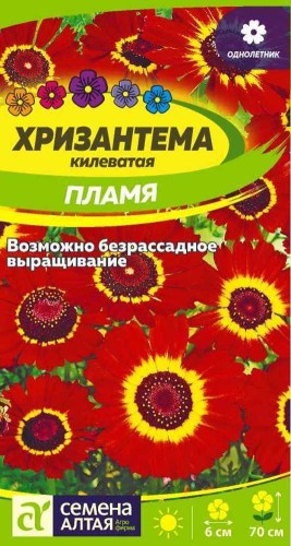 Хризантема Пламя килеватая цв.п 0,1гр Семена Алтая