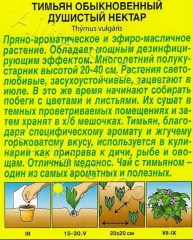 Тимьян Душистый Нектар цв.п 0,2гр Аэлита