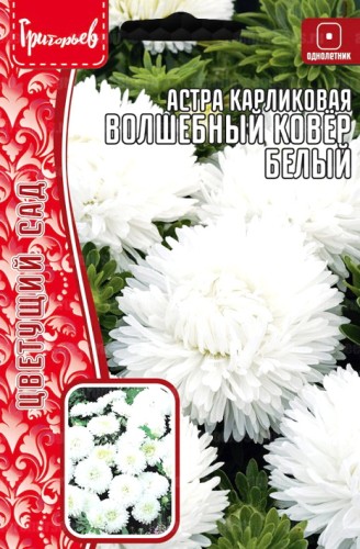 Астра Волшебный Ковер Белый карликовая (Colour Carpet White) цв.п 0,2гр ИП Григорьев