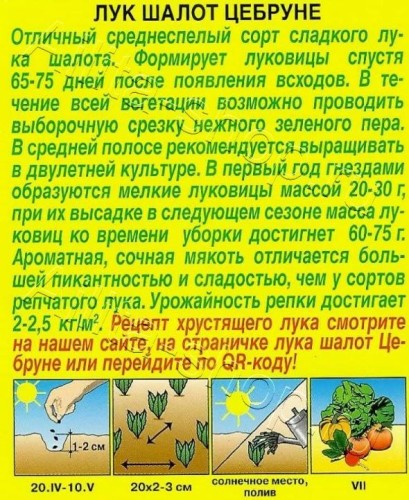Лук шалот Цебруне цв.п  0,3гр Аэлита