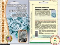 Цинерария Сильвердаст приморская цв.п 30шт ИП Григорьев