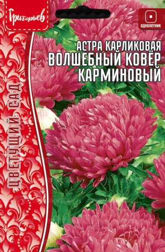 Астра Волшебный Ковер Карминовый карликовая (Colour Carpet Carmine) цв.п 0,2гр ИП Григорьев