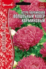 Астра Волшебный Ковер Карминовый карликовая (Colour Carpet Carmine) цв.п 0,2гр ИП Григорьев