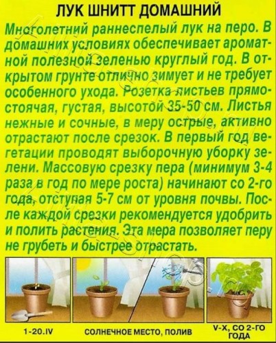 Лук шнитт Домашний цв.п  0,3гр Аэлита