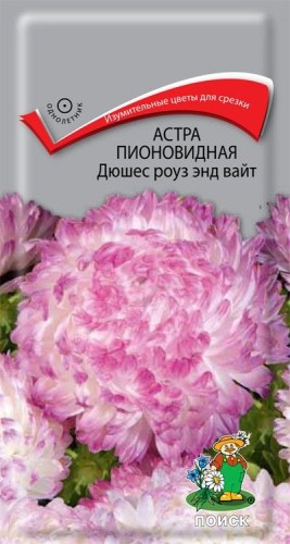 Астра Дюшес Роуз Энд Вайт пионовидная цв.п 0,3гр Поиск