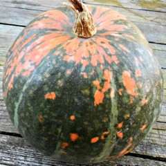 Кавбуз Здоровяга цв.п 3шт	ИП Григорьев