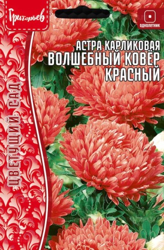 Астра Волшебный Ковер Красный карликовая (Colour Carpet Red) цв.п 0,2гр ИП Григорьев