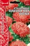 Астра Волшебный Ковер Красный карликовая (Colour Carpet Red) цв.п 0,2гр ИП Григорьев