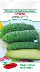 Огурец Директор F1 цв.п 5шт Премиум Сидс