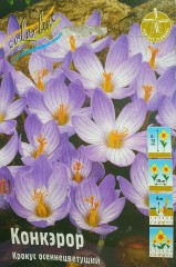 Крокус Конкэрор Осеннецветущий Color Line