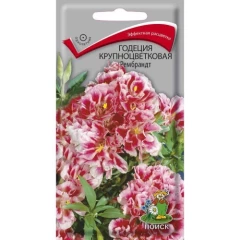 Годеция Рембрандт Крупноцветковая цв.п 0,2гр Поиск