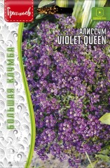 Алиссум Violet Queen цв.п 0,1гр ИП Григорьев