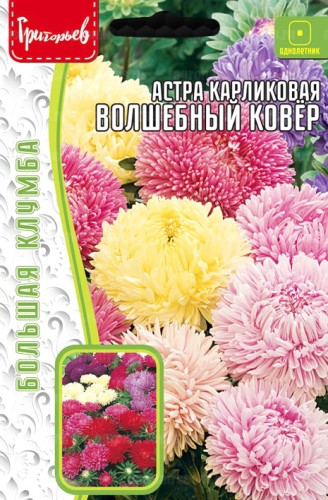 Астра Волшебный Ковер Микс карликовая (Colour Carpet Mix) цв.п 0,2гр ИП Григорьев