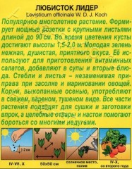 Любисток Лидер цв.п 0,3гр Аэлита