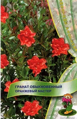 Гранат Оранжевый Мастер цв.п Поиск