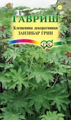 Клещевина Занзибар Грин цв.п 5шт Гавриш