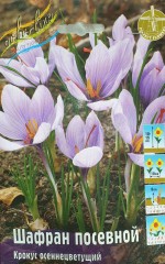 Крокус Шафран Посевной Осеннецветущий Color Line