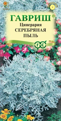 Цинерария Серебряная пыль цв.п 0,05гр Гавриш
