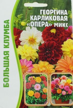Георгина Опера микс карликовая цв.п 15шт ИП Григорьев
