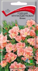 Годеция Феникс Крупноцветковая цв.п 0,2гр Поиск