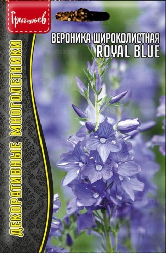 Вероника Royal Blue широколистная цв.п 0,1гр ИП Григорьев