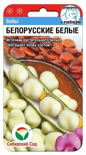 Бобы Белорусские Белые цв.п 5шт Сибирский Сад