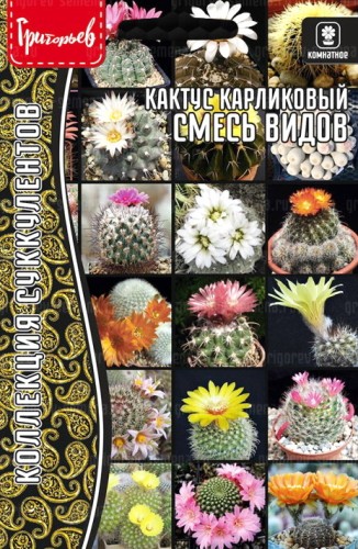 Кактусы Смесь Видов карликовый цв.п 3шт	ИП Григорьев