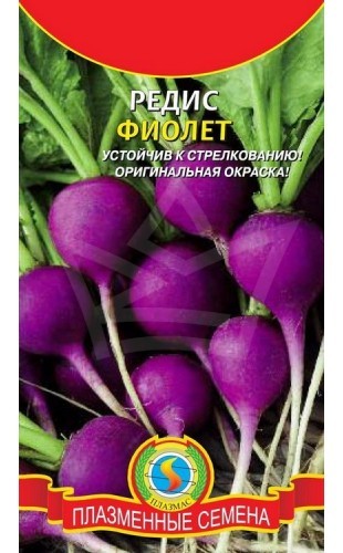 Редис Фиолет цв.п 2гр Плазмас