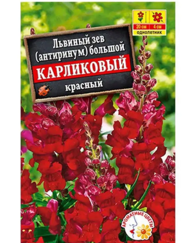 Львиный Зев (антирринум) Карликовый Красный цв.п 10шт Аэлита