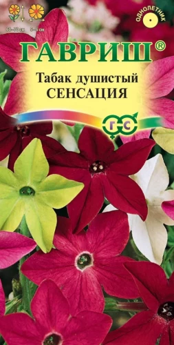 Табак крылатый Сенсация цв.п 0,05гр Гавриш