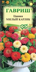 Цинния Милый Карлик цв.п 0,5гр Гавриш