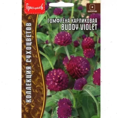 Гомфрена Buddy Violet шаровидная карликовая цв.п 12шт ИП Григорьев