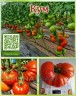Томат Кум цв.п 10шт Медведев