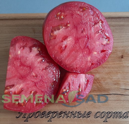 Томат Кум цв.п 10шт Медведев