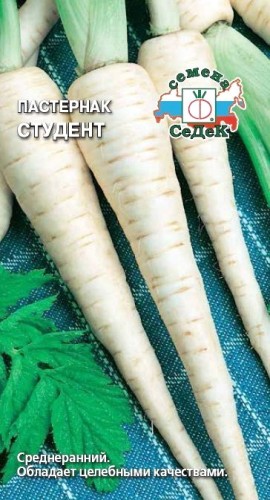Пастернак Студент цв.п 1гр СеДек