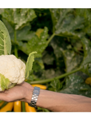 Капуста цветная Смилла F1 цв.п 15шт Партнёр