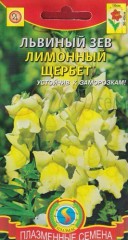 Львиный Зев Лимонный Щербет цв.п Плазмас 24
