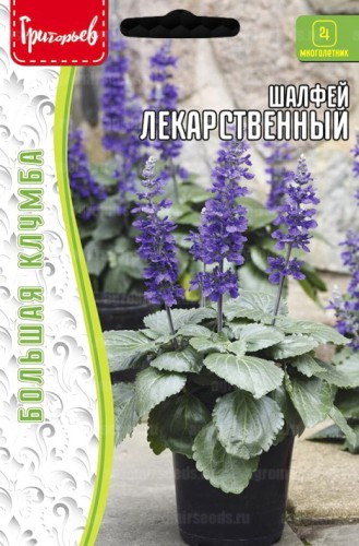 Шалфей Лекарственный цв.п 0,02гр ИП Григорьев