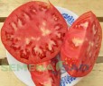 Томат Дакота цв.п 10шт Медведев