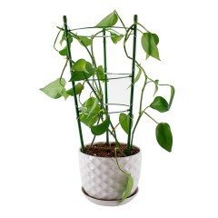 Поддержка LISTOK для растений круглая 60см