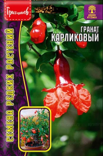 Гранат Карликовый цв.п 5шт ИП Григорьев