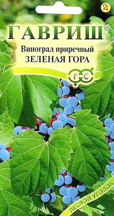 Виноград Зелёная Гора приречный цв.п 5шт Гавриш