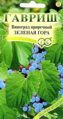 Виноград Зелёная Гора приречный цв.п 5шт Гавриш