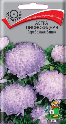 Астра Серебряная Башня пионовидная цв.п 0,3гр Поиск