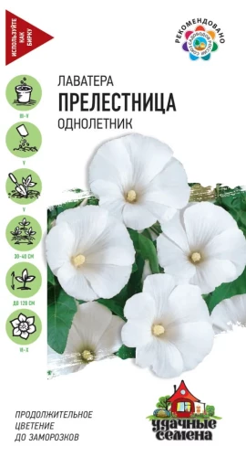 Лаватера Прелестница цв.п 0,5гр Удачные Семена