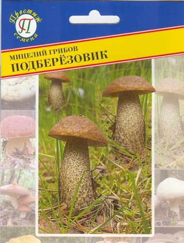 Мицелий грибов Подберёзовик обыкновенный, 50мл, Престиж