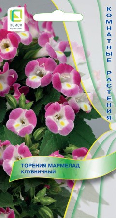 Торения Мармелад Клубничный цв.п. 5шт Поиск