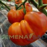 Томат Золотая Медаль цв.п 10шт Медведев